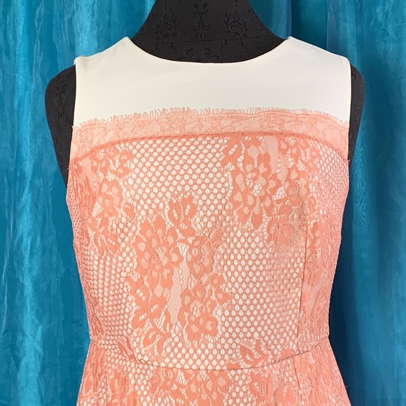 NWT - Lace overlay sheath dress (S) - Picture 2 of 6